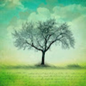 Meet your Posher, Cookie